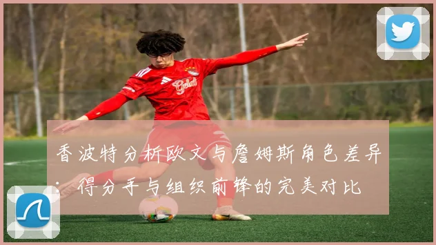 香波特分析欧文与詹姆斯角色差异：得分手与组织前锋的完美对比