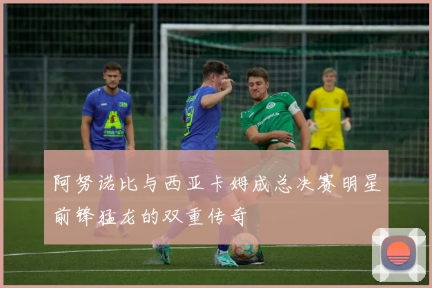 阿努诺比与西亚卡姆成总决赛明星前锋猛龙的双重传奇