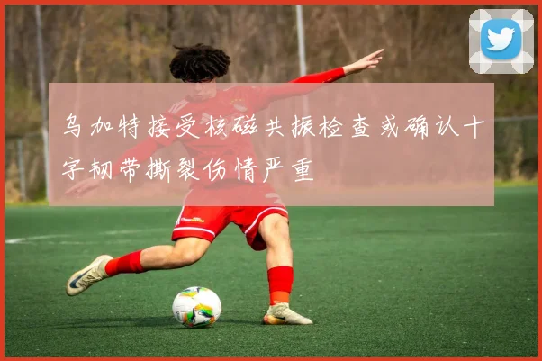 乌加特接受核磁共振检查或确认十字韧带撕裂伤情严重